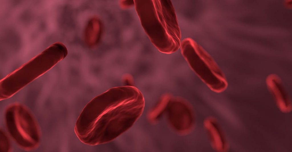 Blutbild_rote_Blutkörperchen